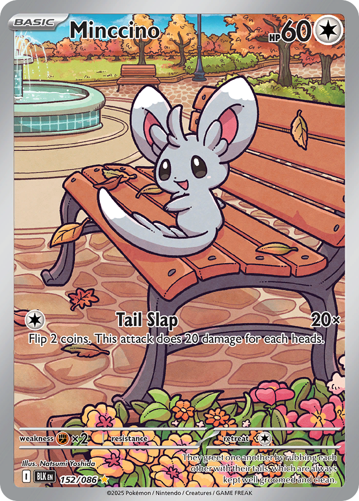 Minccino - Black Bolt #152