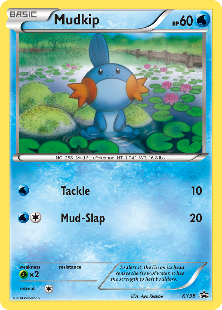 Mudkip - XY Black Star Promos #XY38